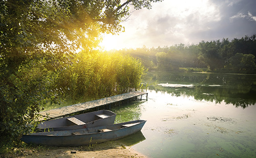 Image of trees and water source near Masci, Hale & Wilson Advanced Aesthetic and Restorative Dentistry.